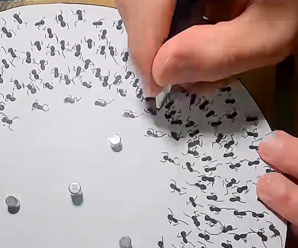 Ants Dance on a Turntable